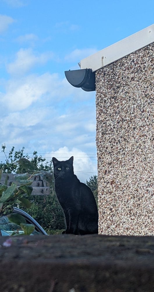 Sighting