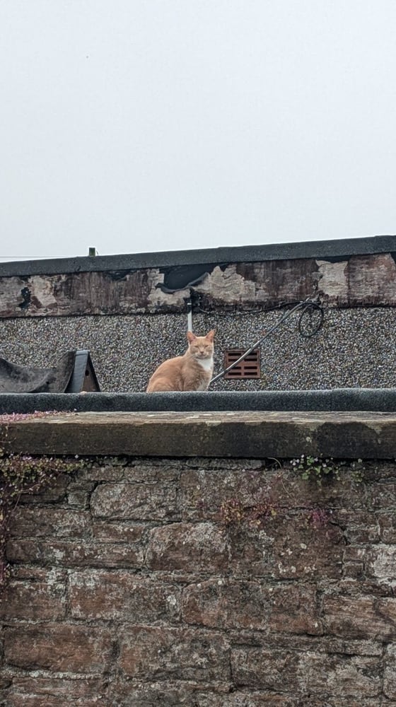 Sighting